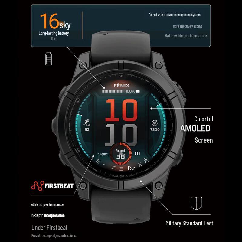 Garmin FenixE GPS Smartwatch (CN version)