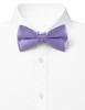 [Bowties jp] Lavender Bow Tie bc00009