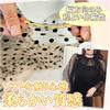 Stretch Polka Dot Tulle 160cm Sheer Dot Lace Thin [moonfarm] 1-Way Fabric, Wide, Fabric, (Beige, 3m)