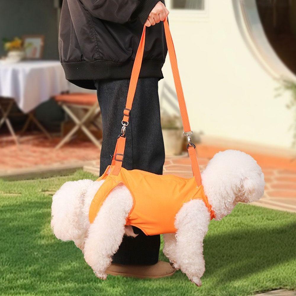 Verstellbarer Haustier-Hinterbein-Stützgurt Verdickter Griff Beinstütze Hunde-Schlinge Hinterbeine Hüftstütze Atmungsaktives Weiches Futter