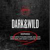BTS Dark & Wild Album