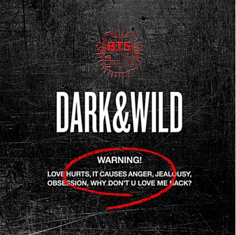 BTS Dark & Wild Album