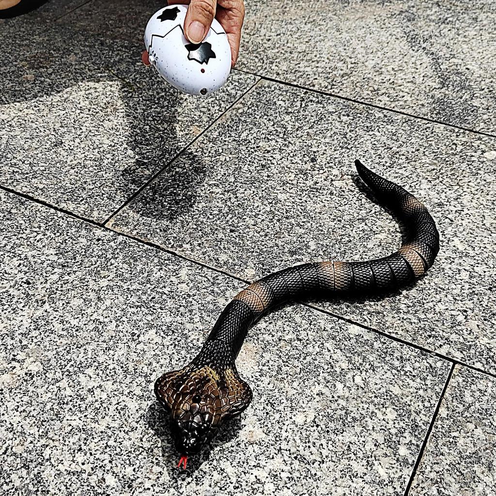 Remote Control Snake Toy with Electronic Sensor, RC Cobra with Realistic, Fast and Flexible Movements, Fake Horror, Perfect for Pets, Cats, Dogs,
