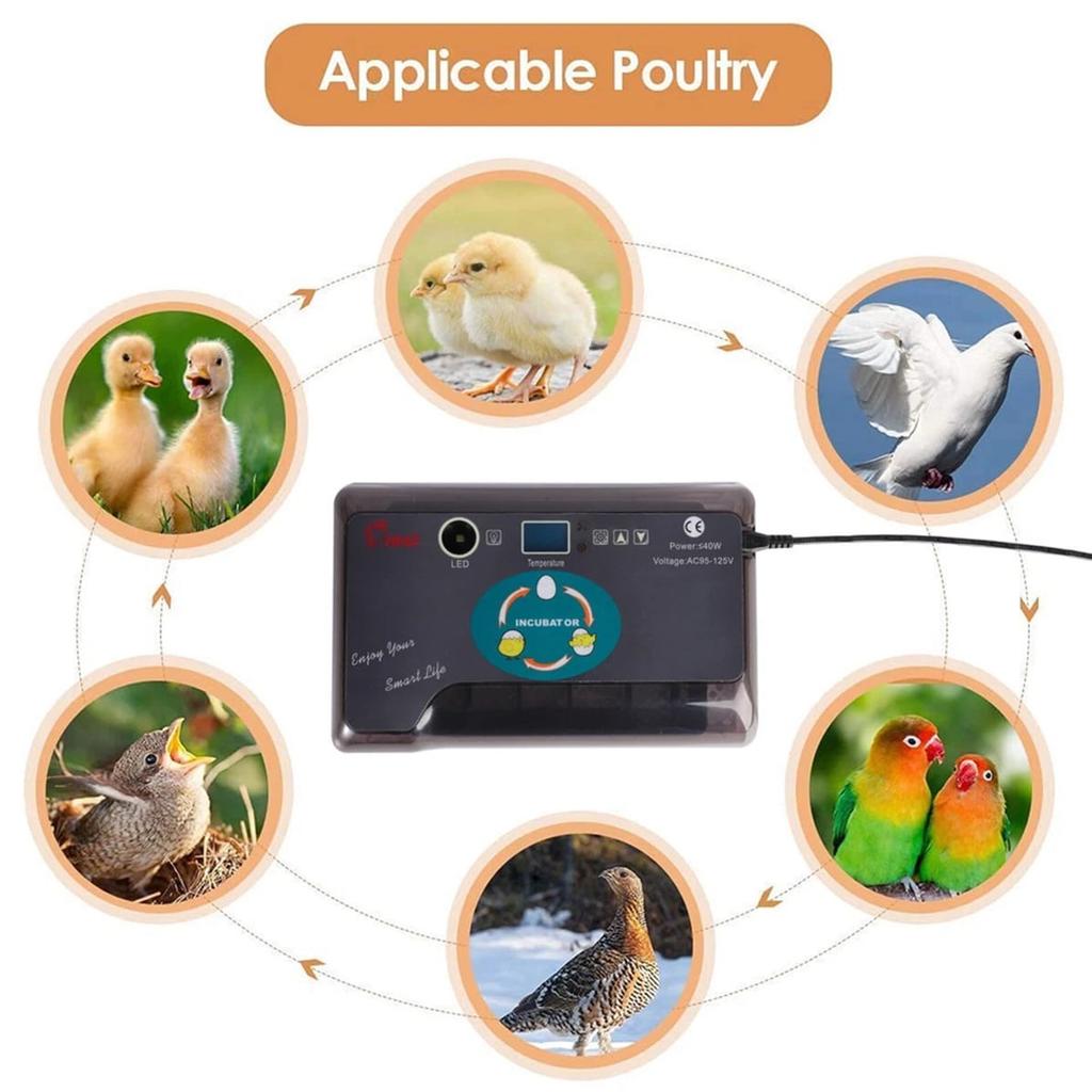 12 Egg Incubator Automatic, Digital Smart Incubator with Auto Turner & Temperature Control, for Hatching Chicken, Duck, Goose Eggs