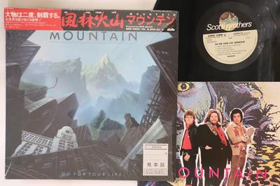 LP-Schallplatte MOUNTAIN BROTHERS  Go For Your Life C25Y0123PROMO SCOTTI BROS 1985 Japan Obi Rock Gebraucht