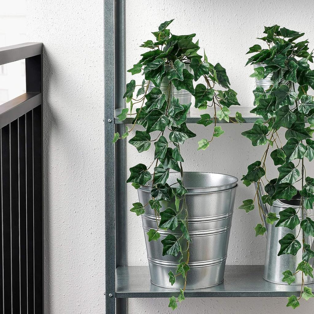 Cumpr Tip artificial 69 cm Hedera IKEA/IKEA FEJKA plant/atrnat  (104.611.52) | Joom