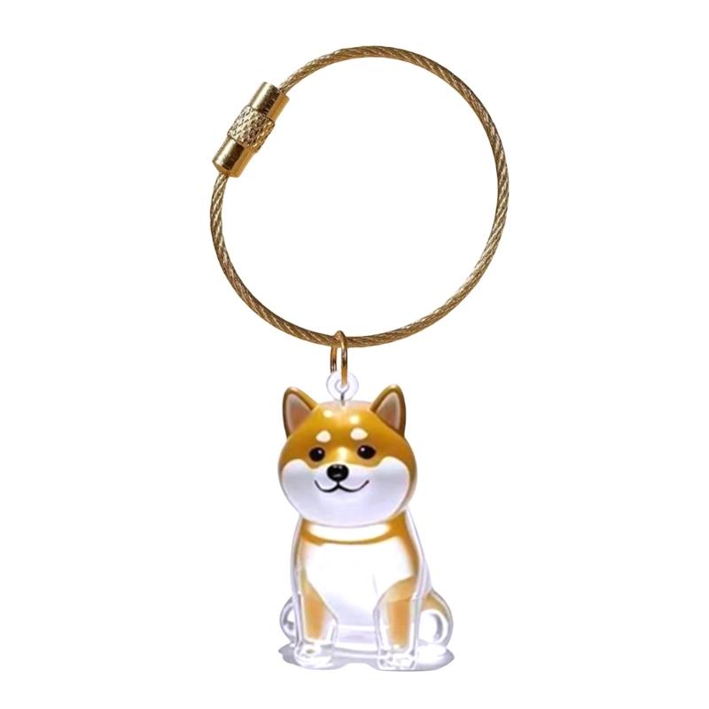 Elegante Chaveiro Memorial para Perda de Animal de Estimação Apresenta Compartimento Visível para Armazenamento de Pelos e Chaveiro Durável para Caixa de Pelos de Animal de Estimação