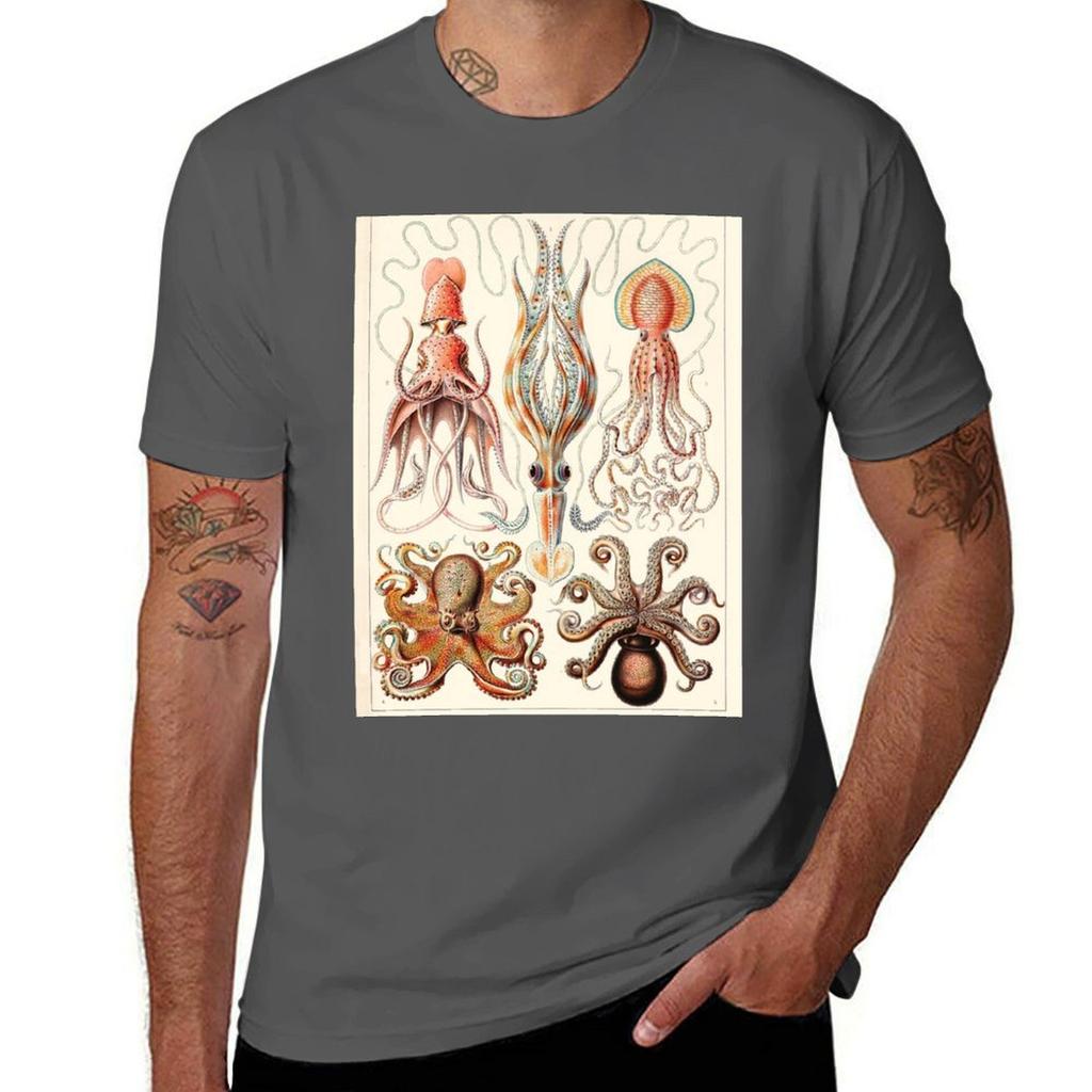 Ernst Haeckel Gamochonia Vintage Science Illustration Tshirt Soft Casual Short Sleeve Cotton Tee