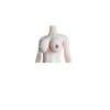 AIEK Scale Figure Super Flexible Seamless Body with Breast Female Body Makeup 2 Hole No Pubic Compatible with TBLeague 1/6 Modification, Body, +