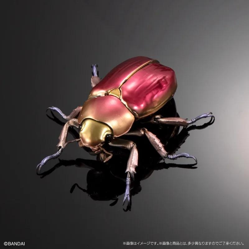 Original Twisted Egg Biological Encyclopedia Scarab Beetles Simulation Model Ornaments Action Figure Toys