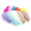 High Quality Ostrich Hair 35-40Cm Multi-Colored Decorative Feathers, Stage Room Flower Arrangement Feathers
