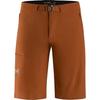 Arc'teryx GAMMA LT Shorts Men's 26447