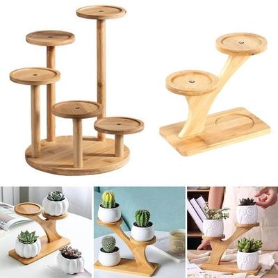 Tree Branch Shape Succulents Bonsai Organizer Bamboo Shelf Desktop Plants Stand  for Window