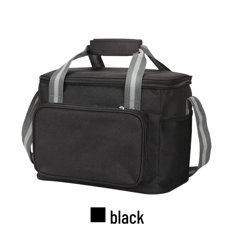 Portable Insulated Lunch and Picnic Bag