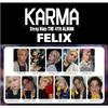 Stray Kids FELIX KARMA ALBUM FOTO KARTE OFFIZIELL