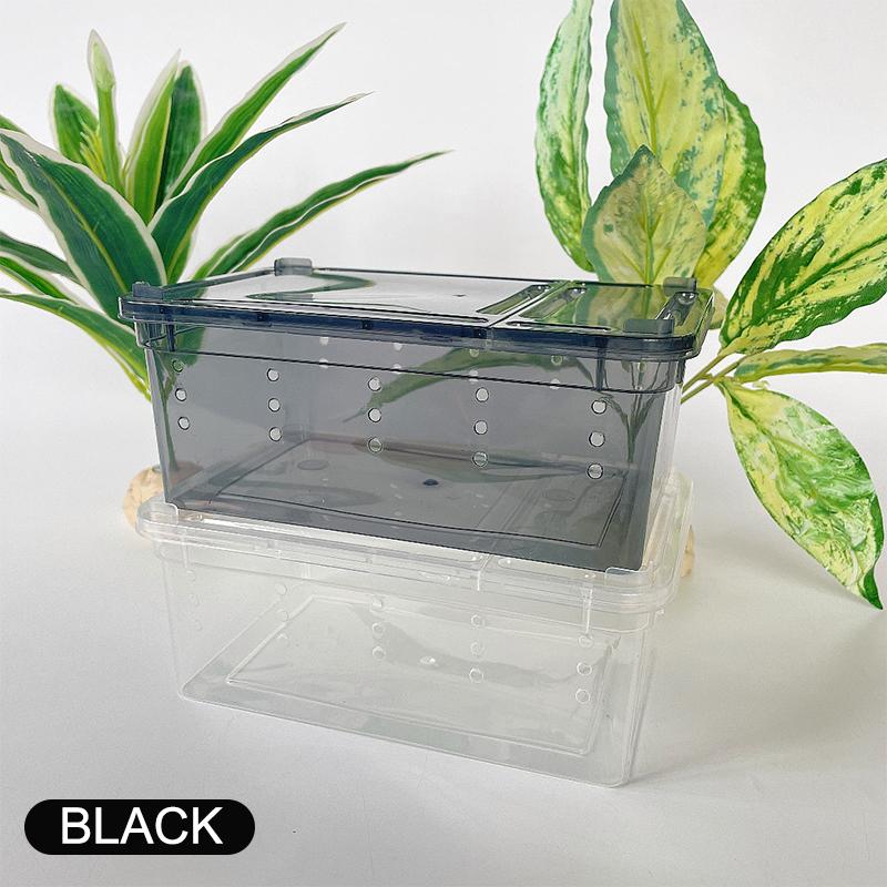 1 terrario para reptiles, arañas, caja de alimentación de plástico transparente, contenedor para cría de insectos, lagartos y escarabajos.