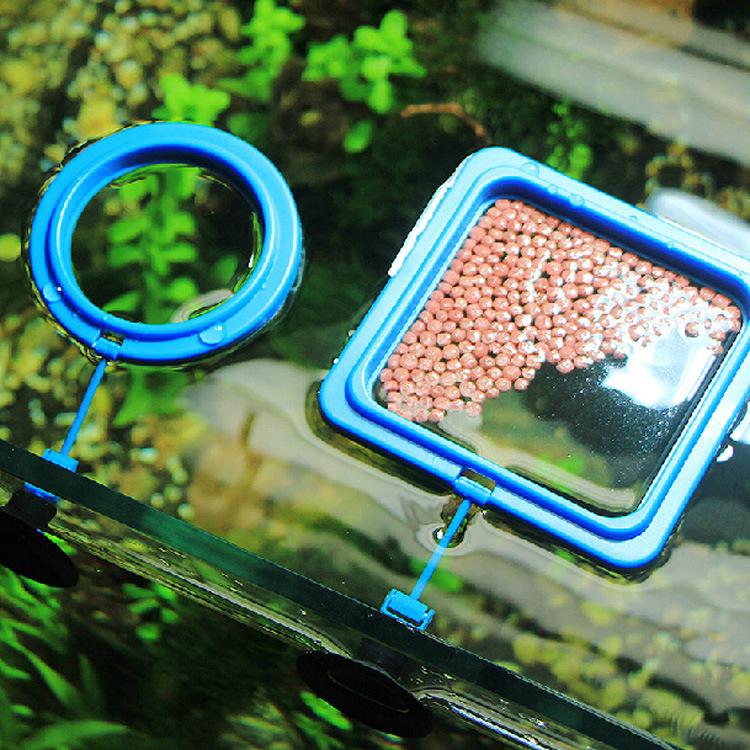 Tropical Fish Tank Feeding Ring for Small Fish & Goldfish