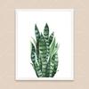 Bohemian Watercolor Tropical Plant Canvas Painting Monstera Banana Leaf Eucalyptus and Fern Art Posters Aesthetic Bedroom Decor