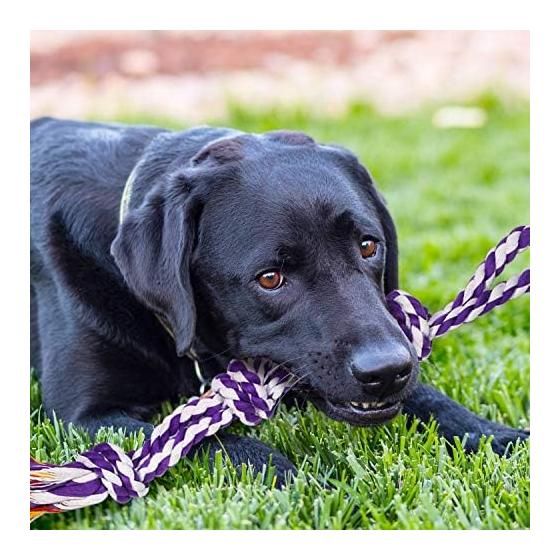 Large Dog Moo Moo Moo, Strong Dog Toys Large Breeds, Heavy Dentistry Dog Rope Toy Set for Medium Dogs, 5 Indestructible Dog Toys, Cotton Puppy Moo