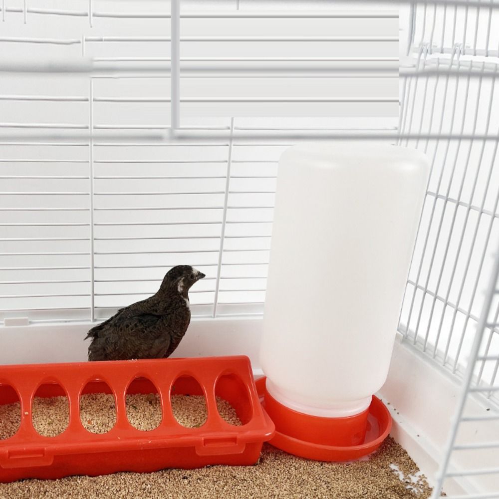 Plastik Geflügelfutterspender Verdicken Automatischer Vogeltränke Sichtbarer Futtereimer Behälter Vögel