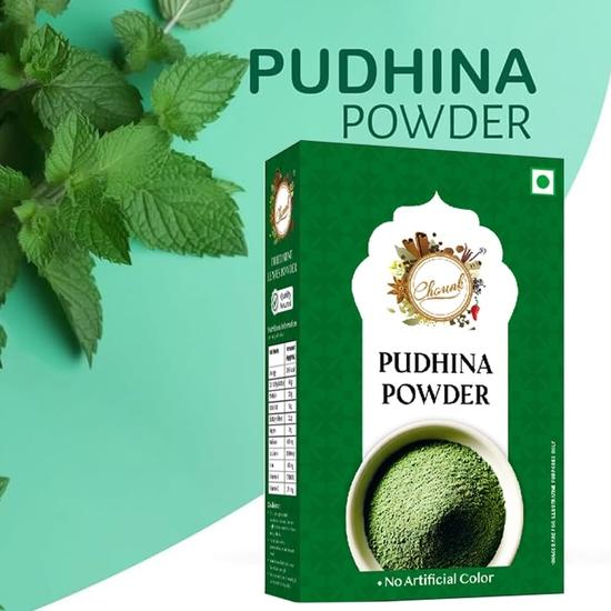 Chounk Pure And Natural Mint Powder | Pudina Powder with No Added Flavors & No Preservatives  - 200 Grams (100 Grams X Pack of 2)