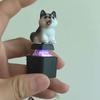 Funny Croaking Dog Keychain Rechargeable Dog Cat Keyboard Fidget Clicker Sound Keychain with Led for Stress Relief