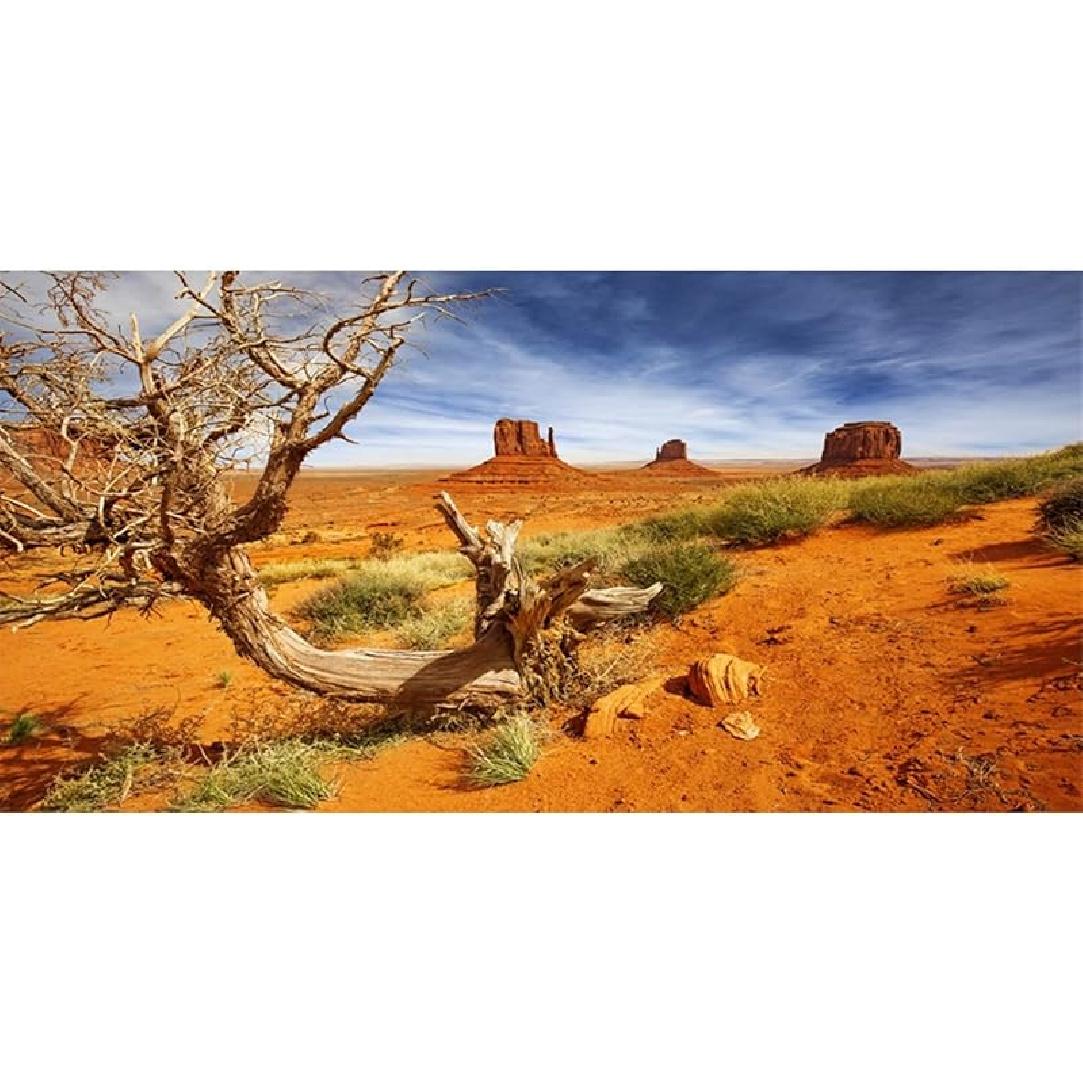 AWERT 36x18 inches Reptile Habitat Background Orange Desert Terrarium Background Durable Polyester Background 30x12in/75x30cm