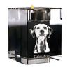 Dalmatian, Carriage Dog, Spotted Coach Dog – Candle holder with dog photo, crystal tealight holder | Art-Dog