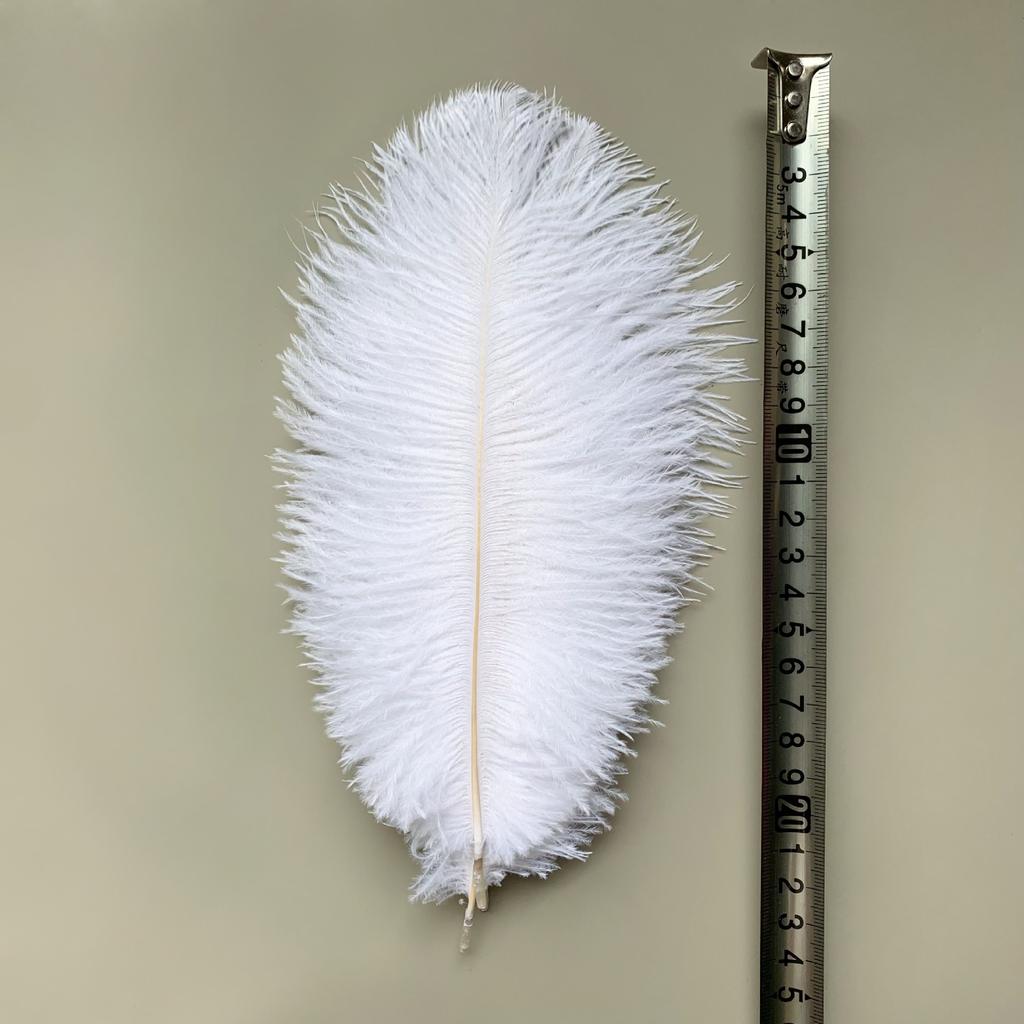 Source Thin Rod Ostrich Hair 20-25Cm High Quality Feather Diy Stage Clothing Accessories Flower Arrangement Material