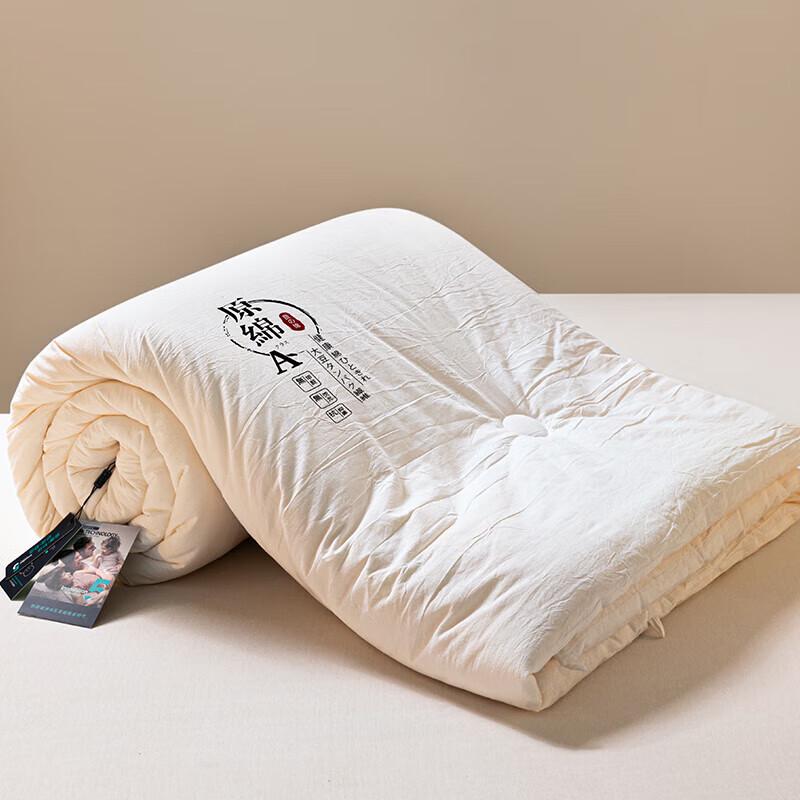 Arctic Velvet Eco Soybean Fiber Quilt