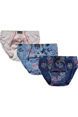 Slip Panties, 3 Pieces Lama (97181)