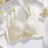 Autumn and Winter New Lace Without Steel Ring Adjustment Bra Cover Gathered Anti-sagging Thick Cup