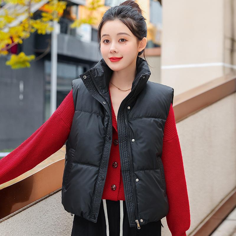 Foreign Style Stand-up Collar Down Cotton Clothes Vest Women's Autumn and Winter New Loose and Versatile Sleeveless Short Vest Jacket