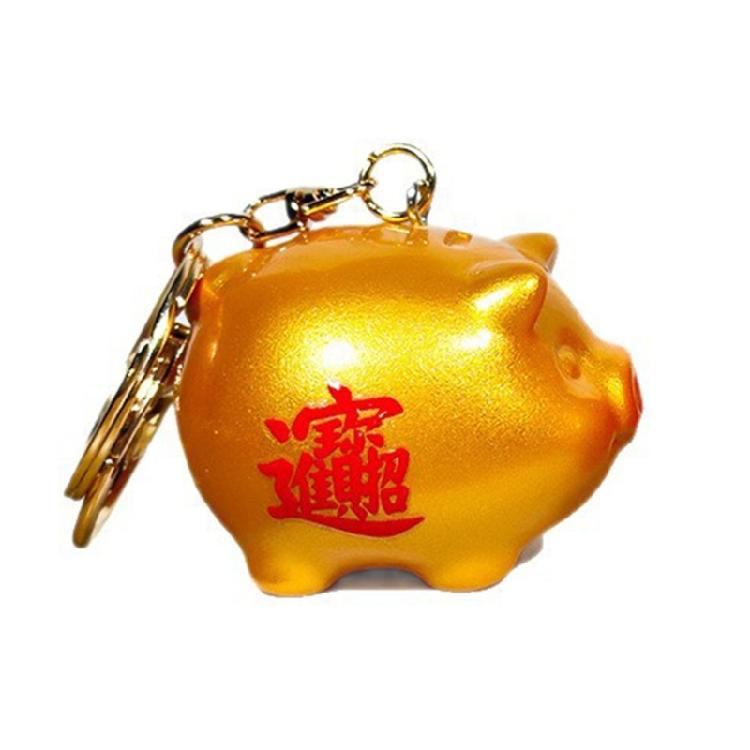New Year Themed Keychain Golden Money Charm Rubber Key Hanging Accessory For Purse Backpack Car Interior Decoration