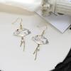 Fashion Earrings With Long Tassels