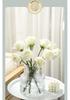 Trendy Transparent Glass Hydroponic Flower Vase for Fresh Roses - Elegant Living Room/Dining Table Decor
