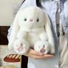 Cute Plush Rabbit Doll Girl Heart Soothing Doll Cute Doll