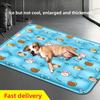 Summer Pet Ice Mat Cushion Breathable Cooling Pad Cushion Ice Pillow Summer Dog Bed Mat Ice Bed Cat Pet