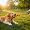 Pet Teeth Cleaning Toy ETPU Bone Dog Chew Toy, with Braided Rope, Foam Handle, Interactive Tug Pets of War for Medium Large Breed Dogs Toys