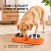 Set di 2 Ciotole per Animali Domestici Inclinabili a 15° in Acciaio Inossidabile Antivibrazione Alimentatore Acqua Cibo per Gatti e Cani Piccoli Blu Verde Arancione Giallo