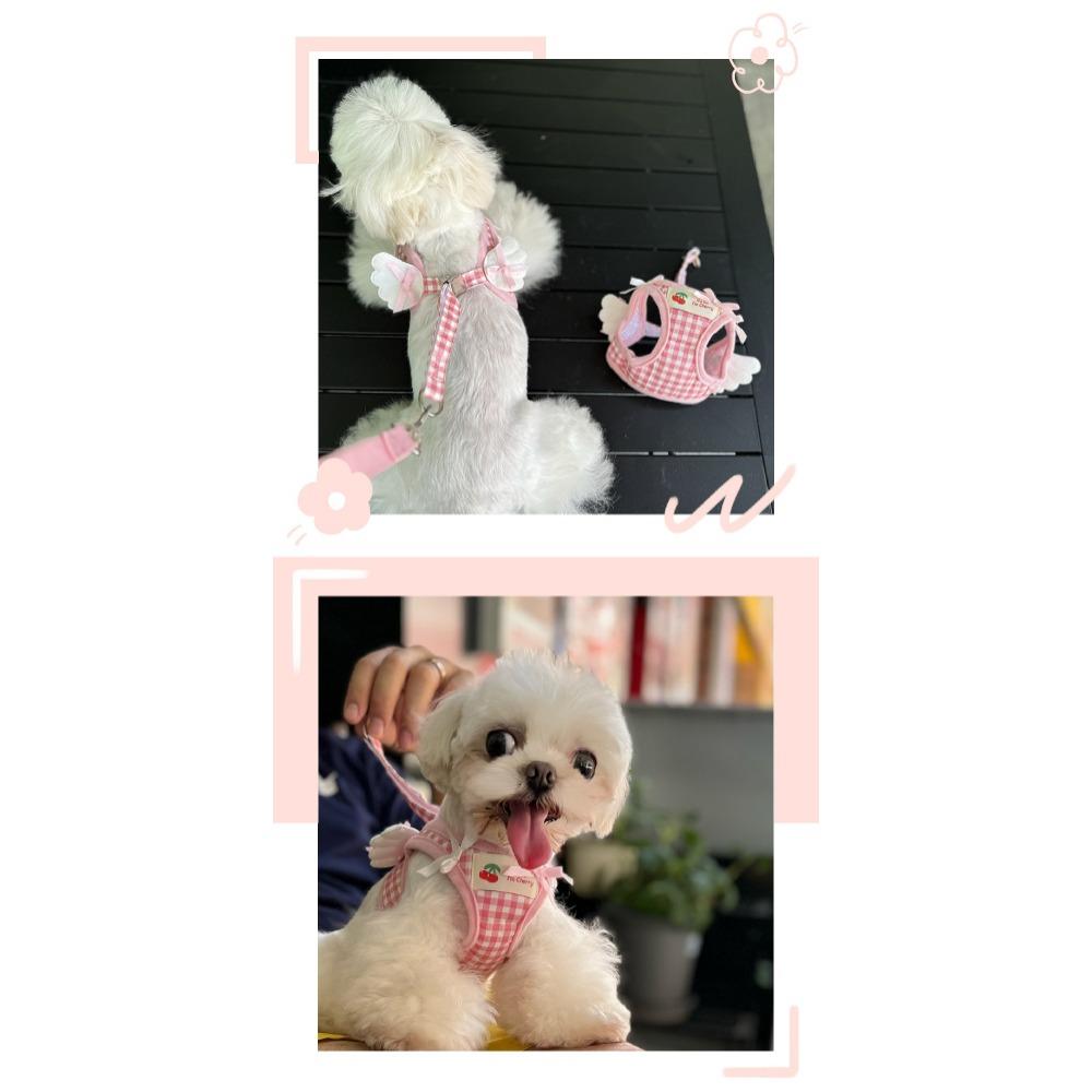 Pet Small Dog Cat Dog Traction Rope Small Wing Chest Strap Set