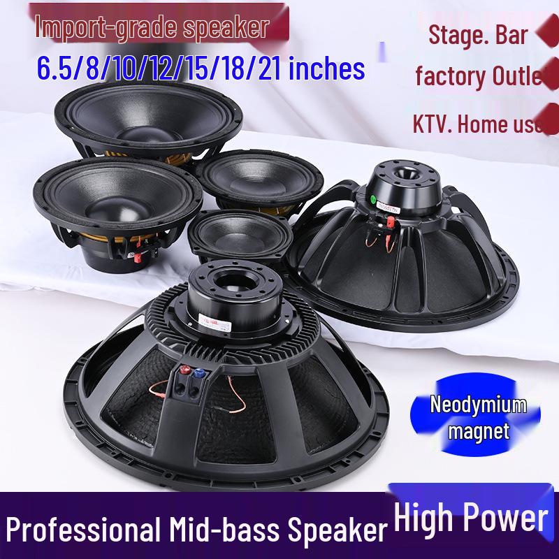 6.5-21 inch High-Power Mid-Bass Pro Stage Speaker with Neodymium Magnet