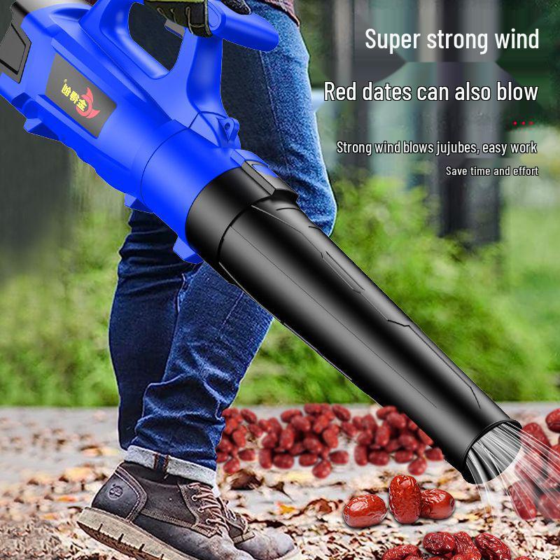 220V Leistungsstarker Industrieller Haartrockner & Staubabsauger