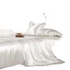 Double-Sided Ice Silk Bed Sheet & Quilt Cover Set