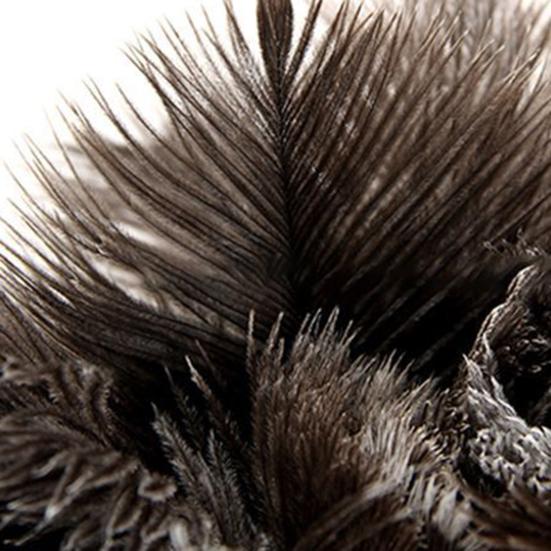 Extendable Ostrich Feather Duster Long Handle Rugged Design Telescopic Pole Duster Reusable