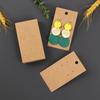 Kraft Paper Earring Card - 5x9cm Blank Display for Studs