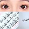 Denivyse - Individual Cluster False Eyelashes