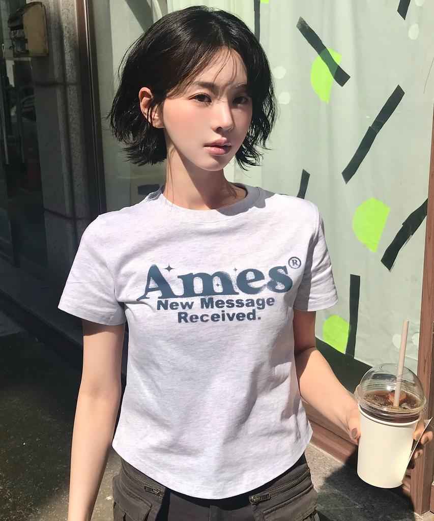 AMES-WORLDWIDE Round Hem Crop Tee Light Gray