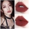 Velvet Matte Hydrating Lipstick: Long-lasting, Moisturizing & Easy To Apply
