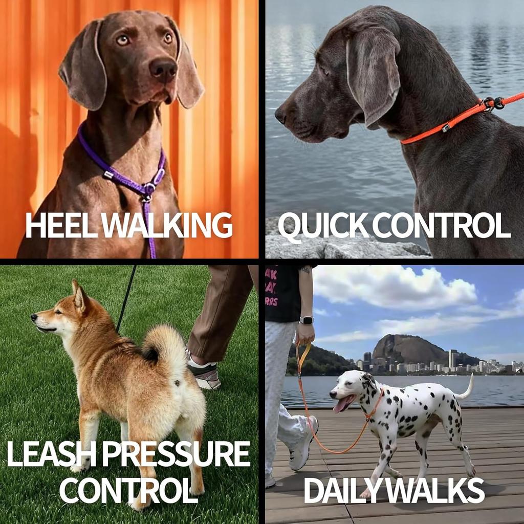 Dog Anti-Slip Leash 5FT with Metal Stopper - Durable No-Pull Training Lead for Small, Medium & Large Dogs - Comfortable Handle Nylon Rope,